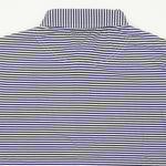 Load image into Gallery viewer, Clemson Golf Swinging Tiger Striped Performance Polo
