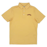 Load image into Gallery viewer, Iowa State Vintage Cyclones Script Striped Performance Polo
